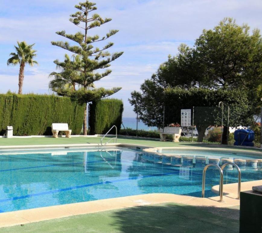 Apartment With Sea View, La Mata 托雷维耶哈 外观 照片